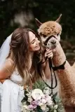 wood-end-alpaca-3