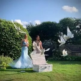 Dove Release