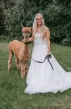 wood-end-alpaca-5