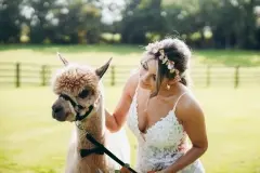 wood-end-alpaca