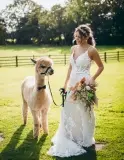 wood-end-alpaca-1